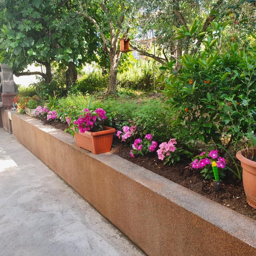 דירות קופר Apartma Lana21 מראה חיצוני תמונה